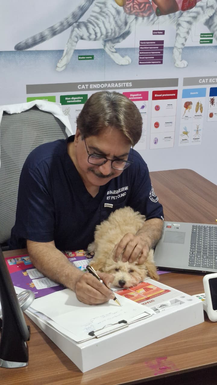 Dr. Rajesh writing prescription with a puppy on the desk