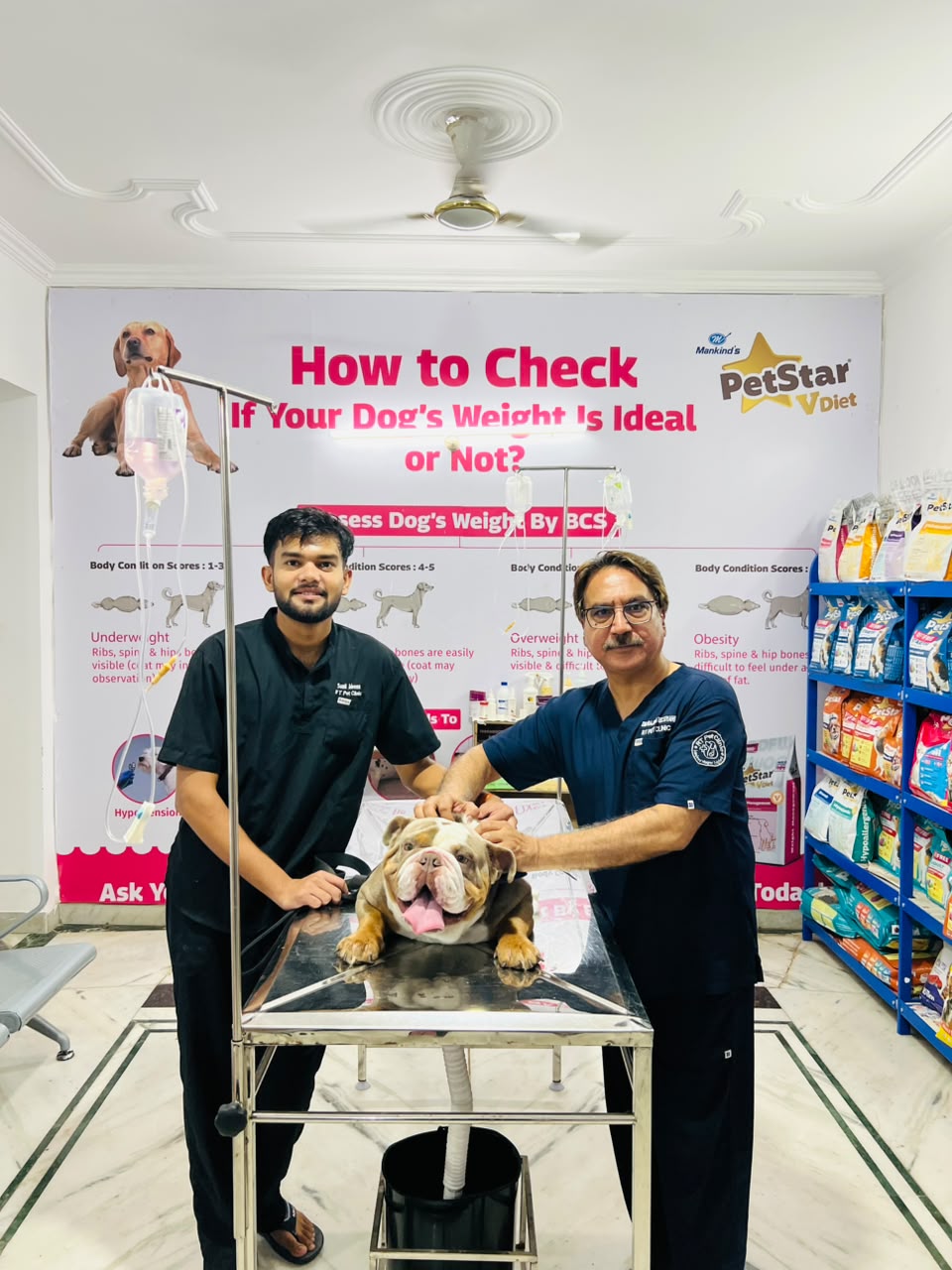 Dr. Rajesh and assistant examining a bulldog on the exam table